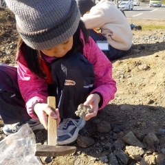 【活動報告】化石ほりに挑戦　