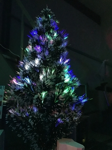 So Nice のクリスマスツリー「12月です、早いなぁ」