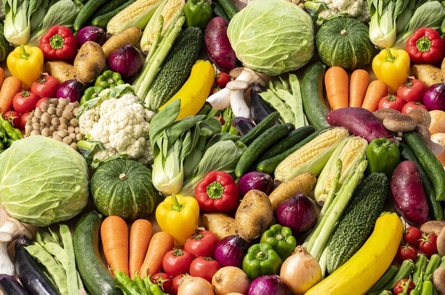 野菜「野菜は最強のインベストメント（投資）である」