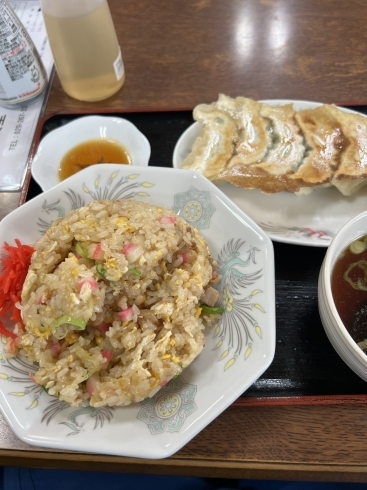 チャーハン「大洗の何度でも食べたくチャーハンと伐採風景!!小美玉市で伐採といえば!!」