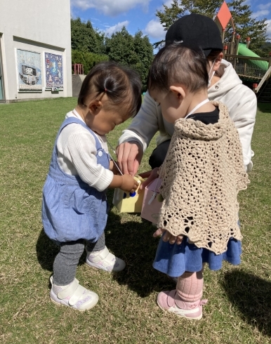 外遊びの様子「川西・猪名川地域対象子育ちプロジェクト『COCO』、YMCA松尾台　子育てサロンがあります！イベントもありますのでぜひ遊びにいらしてくださいね⭐︎」
