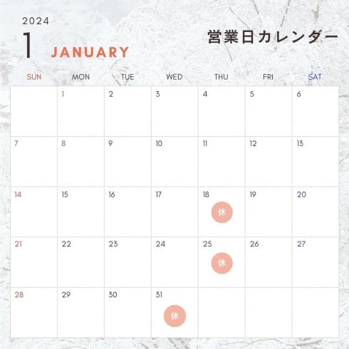 「1月後半の営業案内【名古屋ですっぽん料理を単品で食べるならNoppus】」