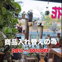 商品入れ替えセール【ちょっと個性的なお花屋さん】