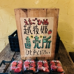 越後姫販売開始🍓