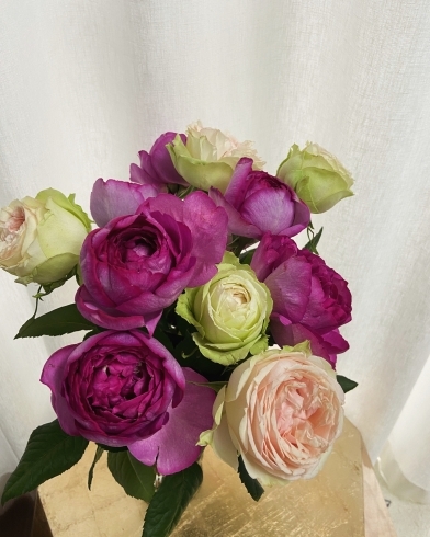 プロポーズの花束～Ｙさん「プロポーズの花束をお預かりしました」