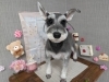weekends 犬　シュナウザー　ブローチ　大きめ a2bcd81e8b337518c308c973043321