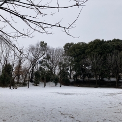 編集室日記:雪の日から明けて