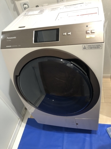 「ドラム式洗濯機分解クリーニング　パナソニックNA-VX9900L」