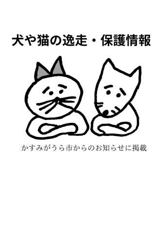 「迷子の犬や猫・保護情報について　〜茨城県動物指導センターより〜」