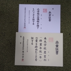 今年も卒業証書の筆耕をしています。