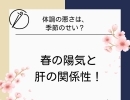 春の陽気と肝の関係性！【新潟　鍼灸パルシェ】