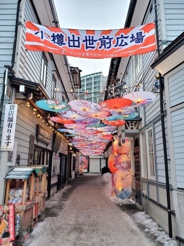 除雪されて雪が見えないです「幻の冬一夜限り！！堺町商店街夏恒例逆さまの日本傘」