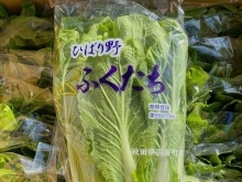 今年も出荷が始まりました！ でも…岩手県でこの野菜を知ってる人は少ないです…。 秋田県産　「ふくたち」﻿