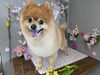 image.php?id=2147598285&p=