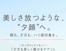 美しさ放つような「夕顔」へ🩷