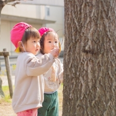 春の訪れ　右京区保育園　活動の様子