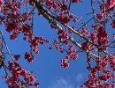 中学生からが開花の時