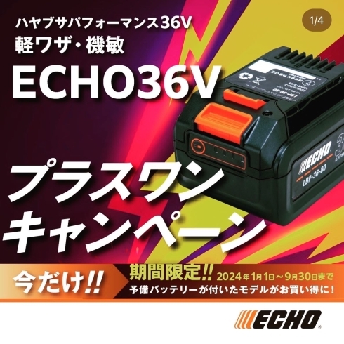 ECHO36Vプラスワンキャンペーン「ECHO 36Vプラスワンキャンペーン✨」
