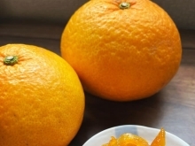 今年も🍊きばるの甘夏【産地、製造にこだわった「安心食材」宅配サービス　生活クラブふくしま】