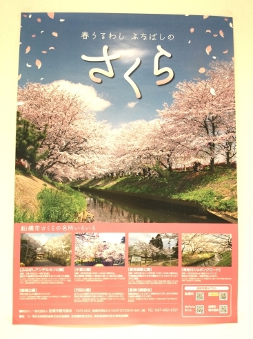 「桜の季節がやって来ますね！🌸」