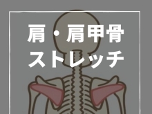 肩こりの方にオススメ！　肩甲骨のストレッチで肩の動きを出して肩こり解消しよう！　【高松市　肩こり　腰痛　骨盤矯正でお悩みの方に人気のカイロプラクティック】