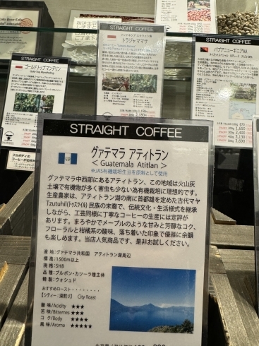 みなさまの、ご来店お待ちしております！「市川駅南口すぐ【グリーン珈琲焙煎所】/グァテマラコーヒーはいかがですか？ メープルのような甘みとコクの落ち着いた印象のコーヒーです、是非お試しください！！」
