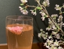 サクラベリースパークリング🥂🌸で乾杯✨桜を飾る飲食店でお花見ディナー♪[市川駅7分市川真間駅1分のカジュアルフレンチビストロ]