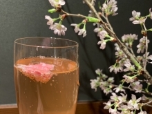 サクラベリースパークリング🥂🌸で乾杯✨桜を飾る飲食店でお花見ディナー♪[市川駅7分市川真間駅1分のカジュアルフレンチビストロ]