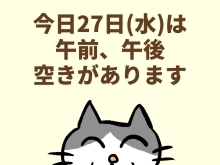 今日27日(水)の空き情報(=^ェ^=) 氣功・整体・リーディング・ヒーリング