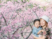 🌸お花見の季節🌸　静岡市/フリーカメラマン/出張撮影/ロケーションフォト/思い出/桜