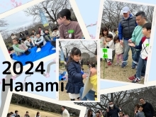 Teacher'sコーナー183号 Hanami 2024 【千葉のならいごと　英会話スクール】