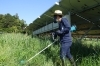 4月は気候も穏やかで、雑草が成長しやすい時期です。草刈り は雑草がある程度成長した後に行うことで効果的ですが、草丈が高くなりすぎる前に手を打つことが重要です。定期的な草刈りによって庭 を美しく保ち、同時に防犯対策にも繋がります。 | 激安草刈り伐採剪定キレイ ...