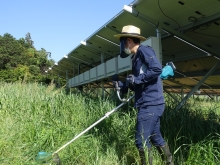 庭の雑草の草むしり 庭木の枝の切り取り 庭への除草剤の散布 草刈りとゴミの処分 物置の解体処分 庭木の高い所の剪定 物置の組立、設置 雨どいの掃除 芝刈り アパートの共用部分の草刈り 立木の伐採 木や花の植え付け 植木の根の除去