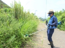 激安草刈り伐採キレイ新居浜店では、新居浜市にお住まいの皆様の草刈りと伐採のニーズにお応えします。4月における草刈りや伐採に関するお悩みを解決するために、私たちの専門サービスをご利用ください。