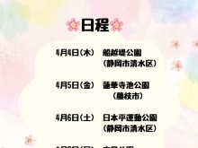 🌸桜撮影会予約🌸　静岡市/フリーカメラマン/出張撮影/ロケーションフォト/思い出/桜