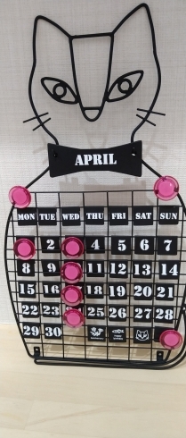 4月の営業予定日「4月の33shokudo(総菜)営業日」