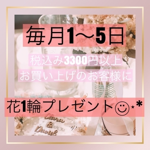 「毎月1〜5日は税込み3300円以上ご購入のお客様に花1輪プレゼント【越前市/花屋/生花/フラワーアレンジメント/ふるーれ・T】」