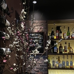 ブリックの桃の木は満開です！　千葉駅徒歩５分　裏千葉のレストラン&バー　ブリックです。
