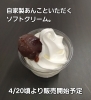 夏季限定ソフトクリーム🍦、4/20頃より販売開始します