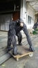 image.php?id=2147612532&p=