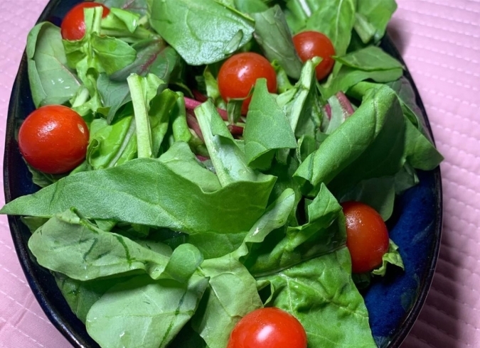 「美味しい野菜をつかったサラダです🥗【採れたてご褒美便】」