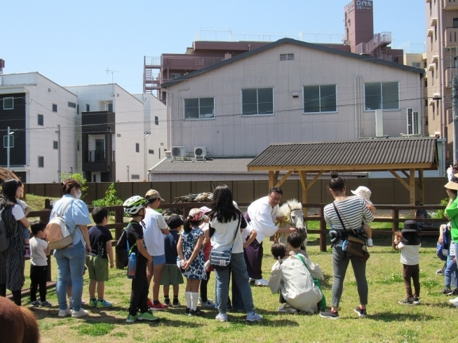 「5月5日「ご縁を結ぶ特別祈祷」＆「くまのこどもまつり」！　こどもの日は、熊野神社に行こう！！」