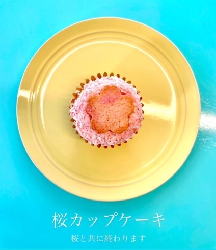 桜のカップケーキはあと二日「桜のカップケーキは今週まで」