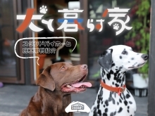 犬と暮らす家　スタンドバイホーム施工事例紹介