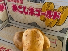 千両箱のような箱に入った「じゃがいも」、 鹿児島県産「かごしまゴールド」が入荷していますよー🥔