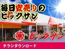 4月14日(日)～4月16日(火)チラシご覧ください ☆毎日安売りのビッグサンです