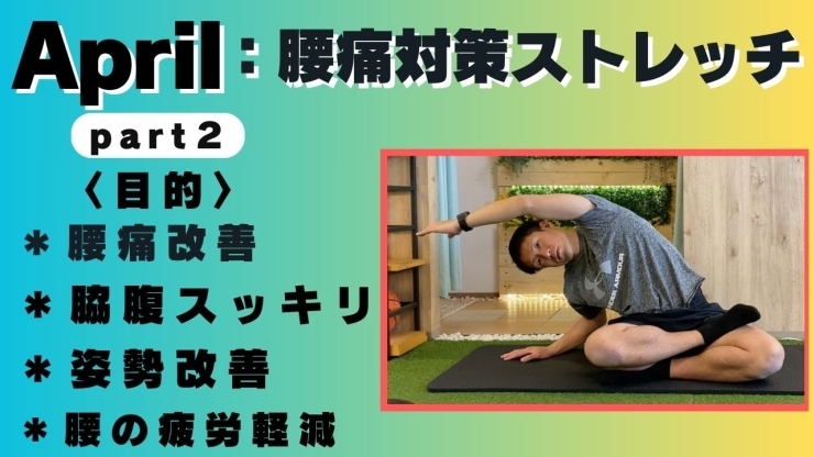 腰痛や腰が硬い方の為にこの動画を作りました！「腰痛対策や腰まわりをほぐしたい方へ【八千代緑が丘ダイエット専門パーソナルトレーニングジムSTYLE】」