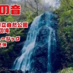 「サウナと自然の調和」：「愛媛の音」第12弾、白猪の滝のサウンドで至福の外気浴体験