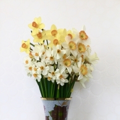 お花を頂きました(o^^o)