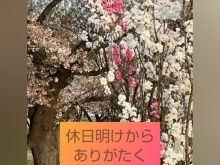 過眠症や全身の症状、腎機能、肝機能が改善中！[福島県福島市の漢方薬局]